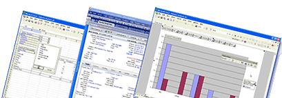 GoldMine Reports using MasterMine Software